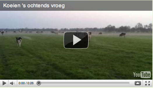 filmkijophelje
